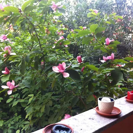 Navigli Downtown Cocco House Apartamento Milão